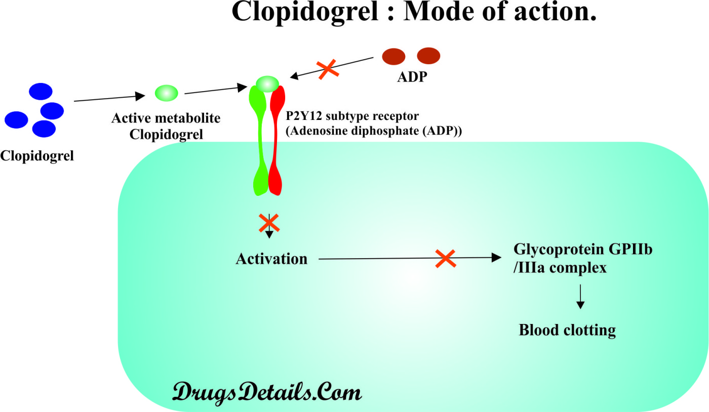 is clopidogrel an anticoagulant drug