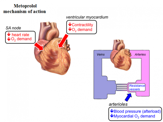 does metoprolol affect asthma