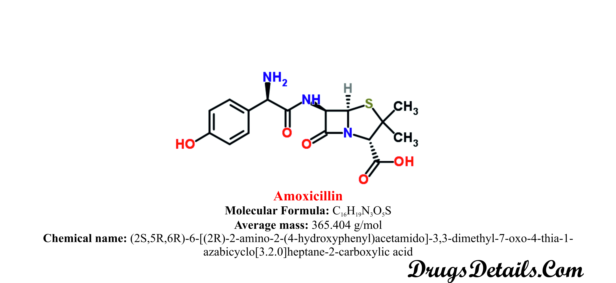 amoxicillin structure drug chemical generic drugs brand diseases drugsdetails