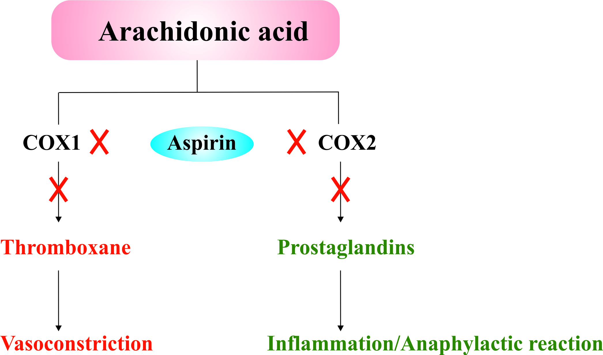 Newhart dick loudon eat an aspirin