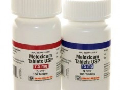 Hydrocodone and Meloxicam
