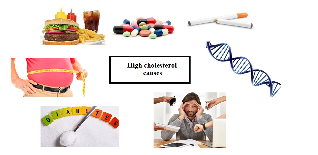 What causes high cholesterol? – Drug Details