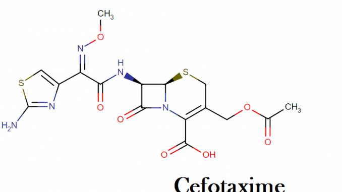 Cefotaxime Cefotaxime : Drug class, mechanism of action, uses, dosage, side effects and interactions