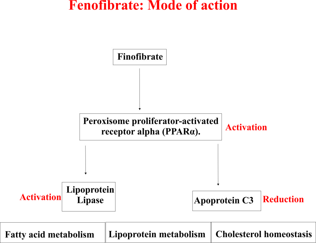 Fenofibrate: Mode of Action.