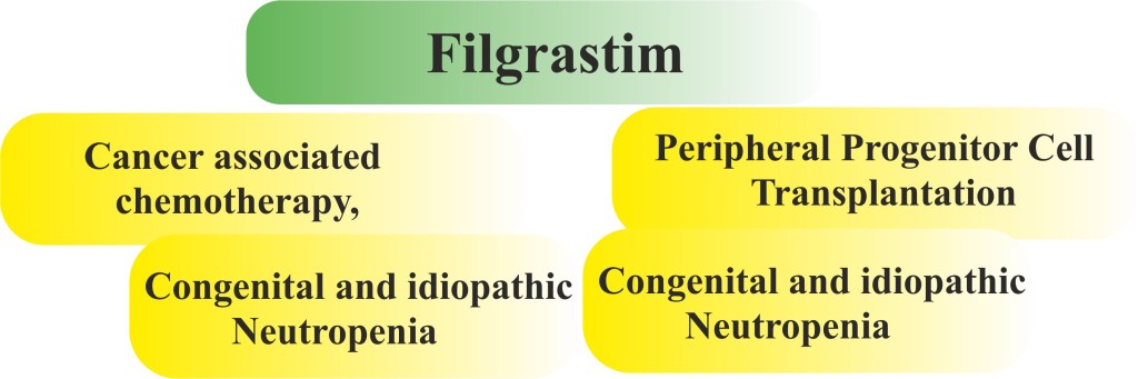 Clinical Uses of Filgrastim.