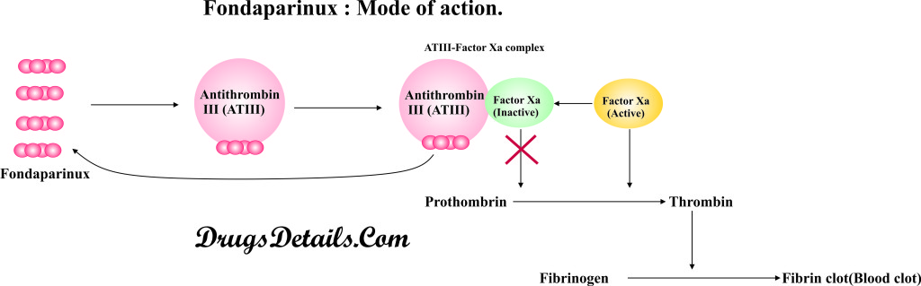 Fondaparinux : Mode of action.