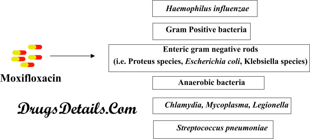 Broad range antibacterial spectrum of 
