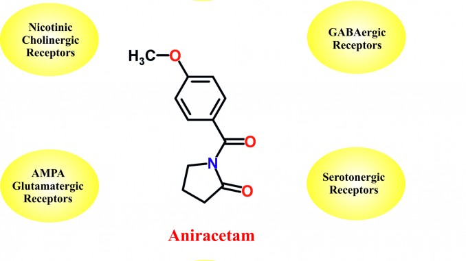 aniracetam study stack