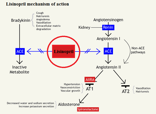 Lisinopril mechanism of action