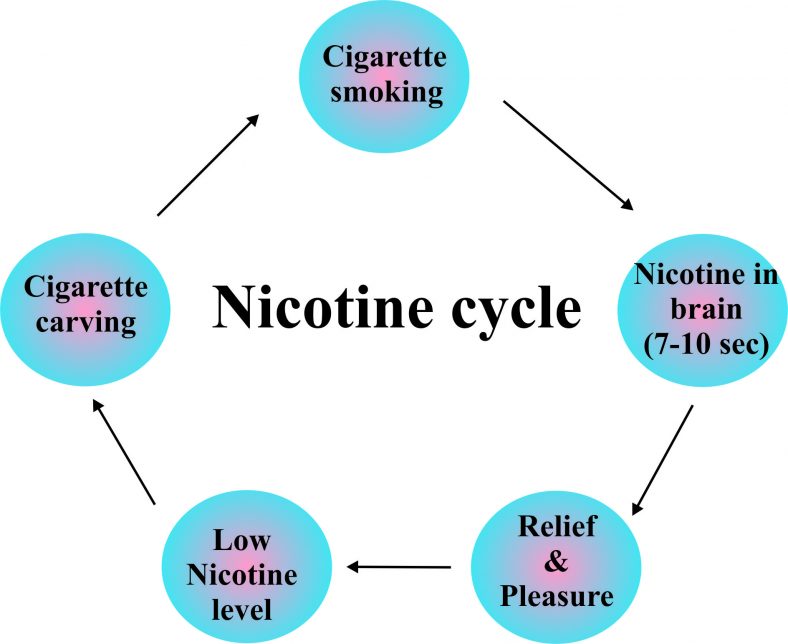nicotine cycle of addiction