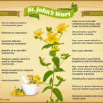 what is st john's wort? Benefits and Side effects