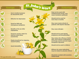 what is st john's wort? Benefits and Side effects