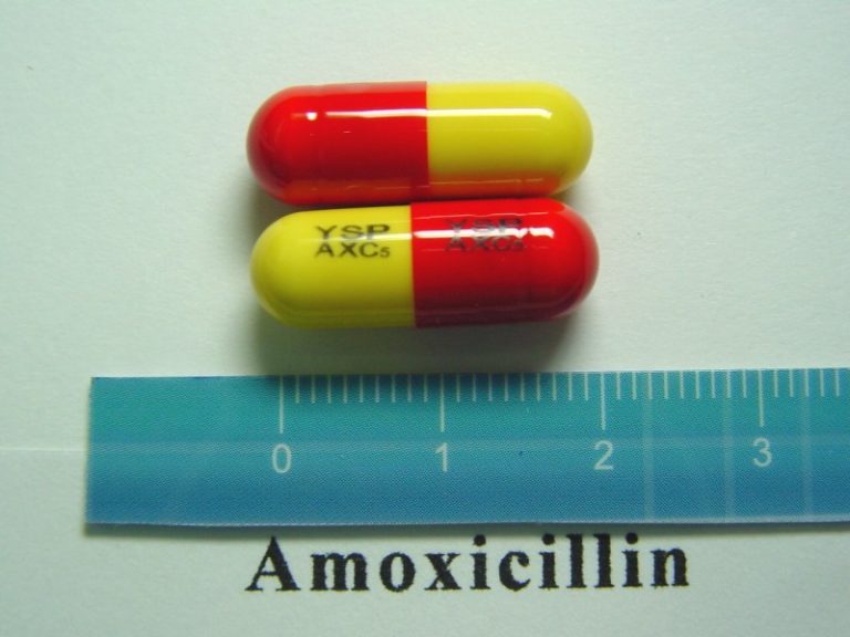 what is amoxicillin mainly used for