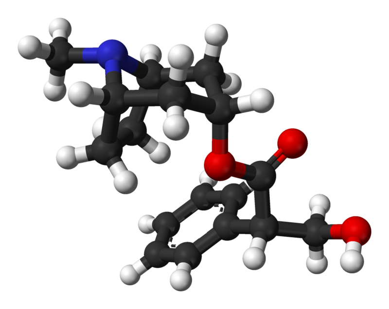 Hyoscyamine molecular weight