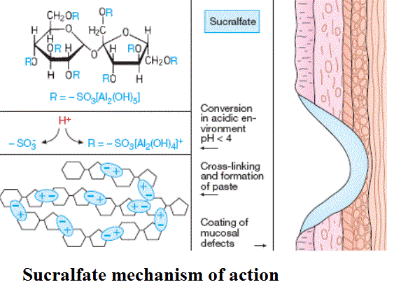 Sucralfate - Uses, Dosage, Mechanism of Action, Side Effects, Interactions and Reviews