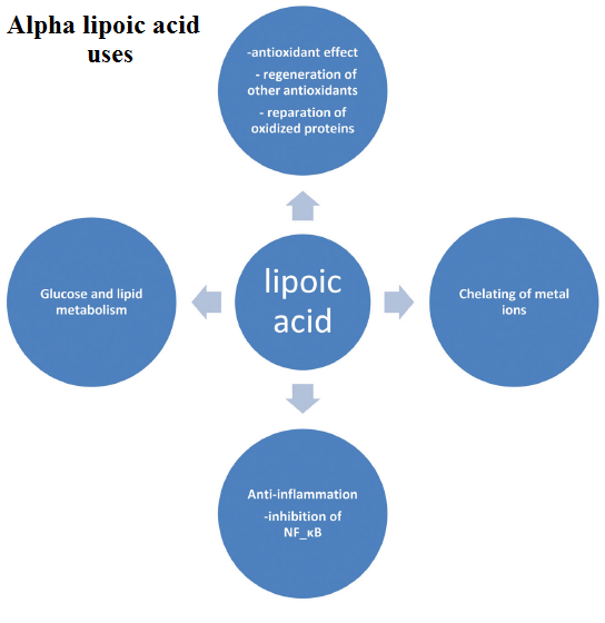 Alpha Lipoic Acid Drugs Details