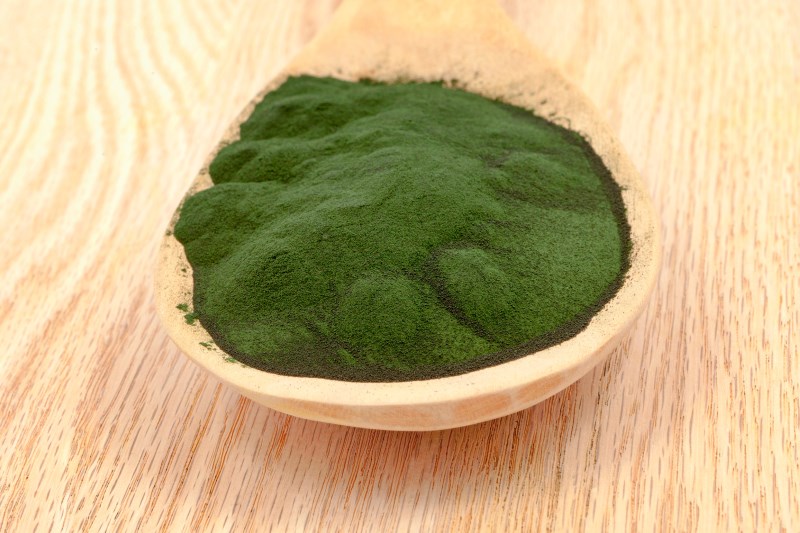 Spirulina - health benefits, how to eat, Where to buy capsules, side effects