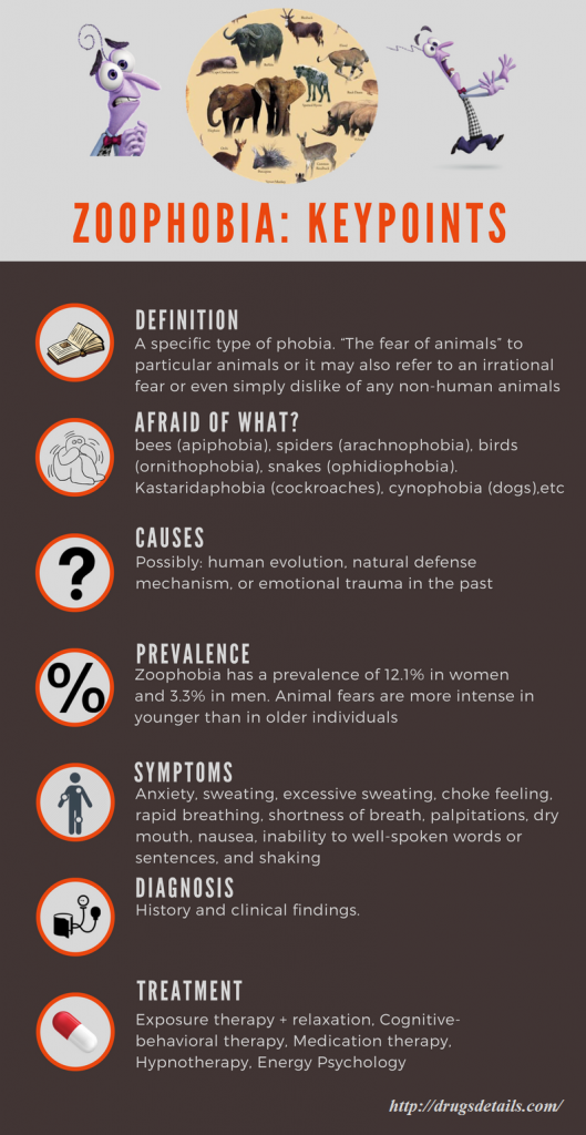 Zoophobia - definition, causes, symptoms, diagnosis, treatments