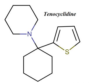 What does TCP stand for in medical terms?