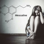 Mescaline and Peyote: Definition, uses, effects, dosage, addiction, drug test