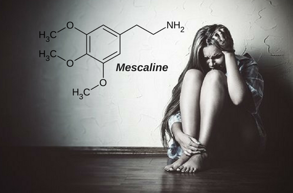 Mescaline and Peyote: Definition, uses, effects, dosage, addiction, drug test