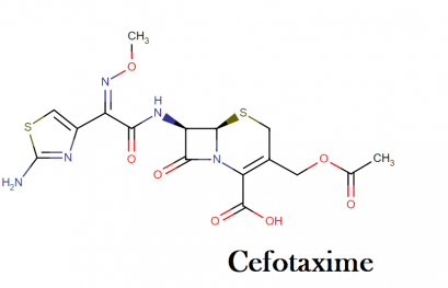 Cefotaxime : Drug class, mechanism of action, uses, dosage, side effects and interactions