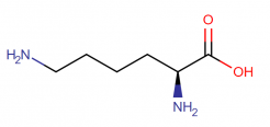 What is L Lysine good for?