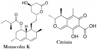 red yeast rice mechanism of action