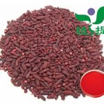 Red Yeast Rice: Benefits, Side Effects & Risks