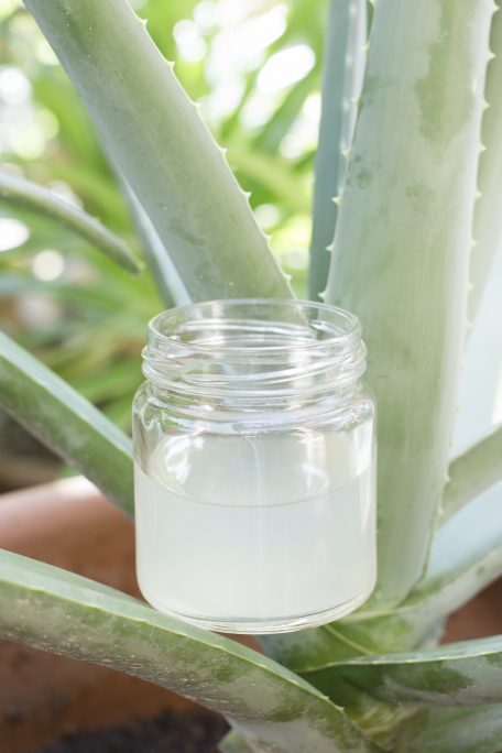 Is aloe vera gel anti inflammatory?