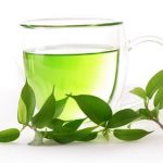 Green Tea: family, products, uses, clinical evidence, dosage, side effects, interactions