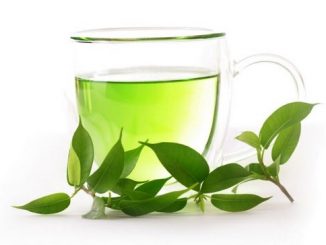 Green Tea: family, products, uses, clinical evidence, dosage, side effects, interactions