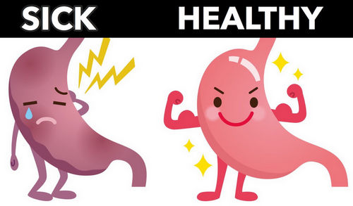 A healthy gut is important to keep the diseases away image photo picture