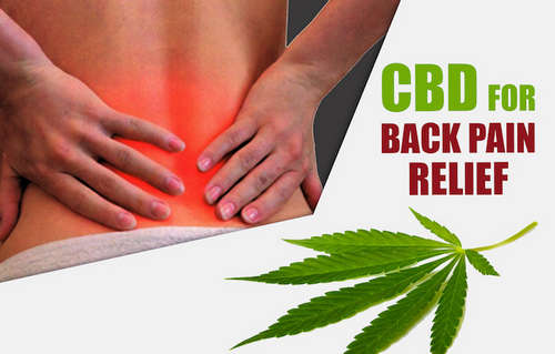 CBD gummies are helpful in the management of chronic pain image photo picture